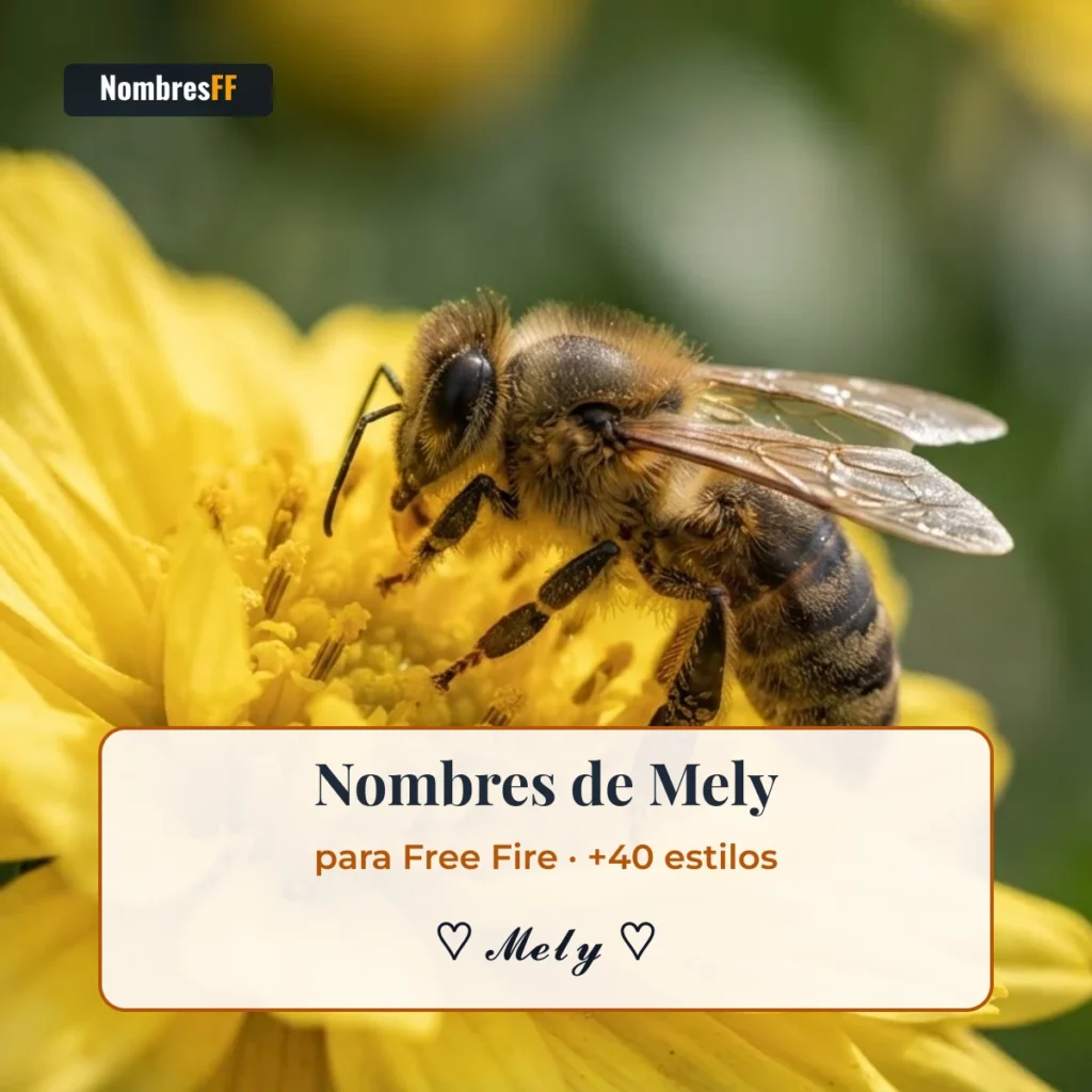Nombres de Mely para Free Fire con símbolos